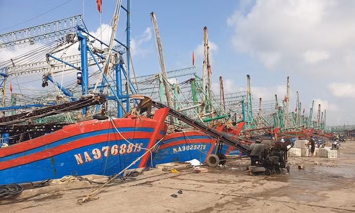 Các đội tàu ở Nghệ An luôn được lực lượng chức năng, địa phương và Bội đội Biên phòng tăng cường công tác kiểm tra, giám sát và xử lý nghiêm các vi phạm liên quan đến IUU.