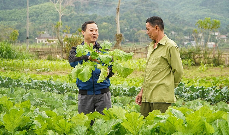 Người dân Thanh Phong 1 - bản người Thái mừng vui khi rau được giá.