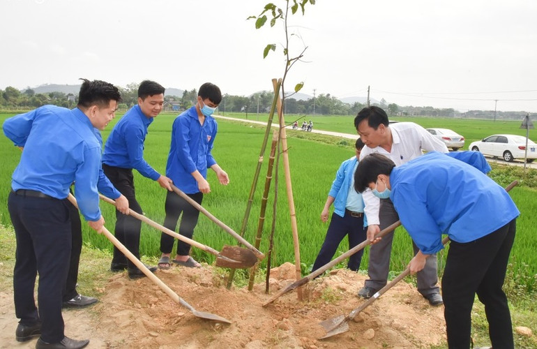 Hưởng ứng "Ngày Chủ nhật xanh", các cấp bộ Đoàn ra quân trồng cây xanh. (Ảnh: Thanh Lê)