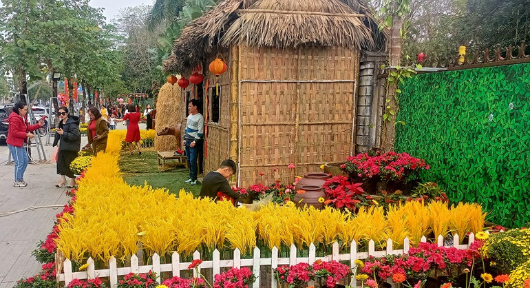 Đường hoa ở thành phố Vinh thu hút khách du lịch đến check-in.