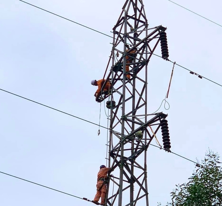Nhanh chóng khắc phục sự cố đường dây nhằm cấp điện ổn định.