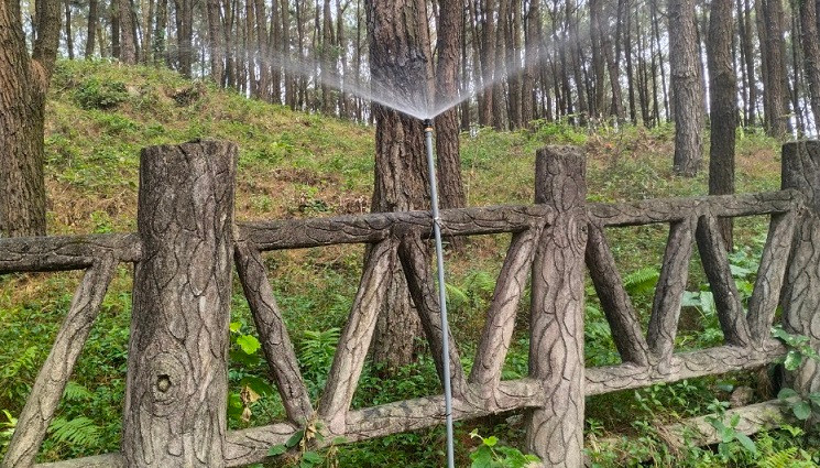 Tưới phun nước ra xa chung quanh khoảng 3-4m.
