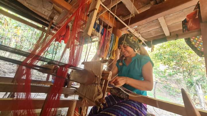 Thu nhập của người dân ở vùng cao biên giới Nghệ An còn thấp thua so với thu nhập bình quân chung của cả tỉnh. Thu nhập của người dân ở vùng cao biên giới Nghệ An còn thấp thua so với thu nhập bình quân chung của cả tỉnh.