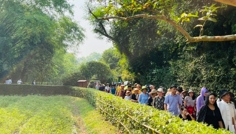 Đông đảo du khách trong cả nước về với Khu di tích Kim Liên.