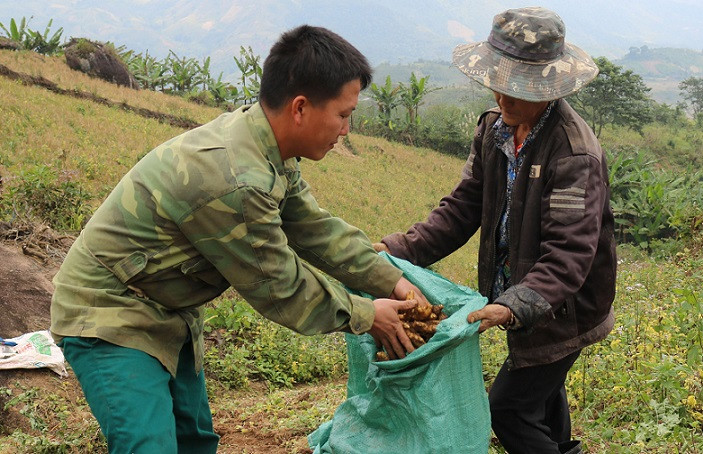 Thu nhập của người dân ở vùng cao biên giới Nghệ An còn thấp thua so với thu nhập bình quân chung của cả tỉnh. Thu nhập của người dân ở vùng cao biên giới Nghệ An còn thấp thua so với thu nhập bình quân chung của cả tỉnh.