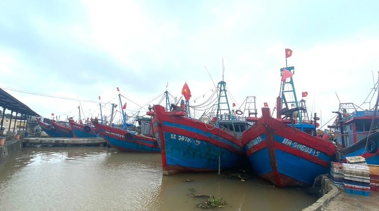 Kiểm tra, kiểm soát 100% tàu cá xuất, nhập bến.