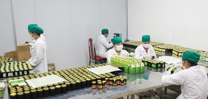 Chi bộ hợp tác xã Nông dược Tĩnh Sáng Đường chỉ đạo hoạt động sản xuất kinh doanh hợp tác xã ngày một phát triển