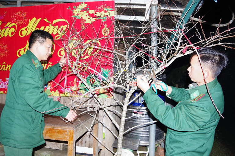 Và không quên chọn một cành đào đẹp đón Tết. Và không quên chọn một cành đào đẹp đón Tết.