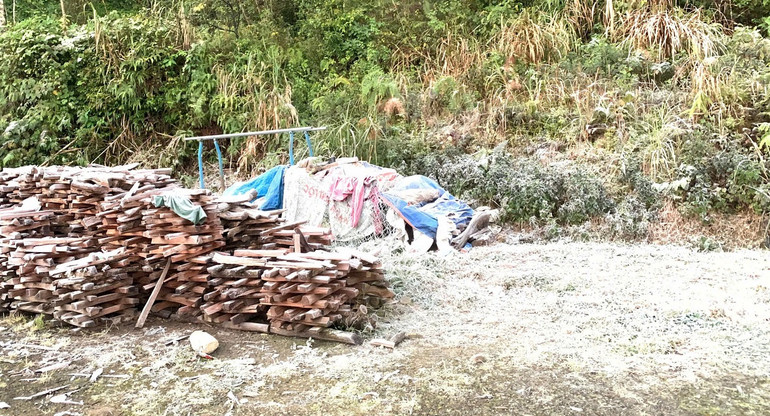 Vào sáng, nhiệt độ tăng cao nhưng băng vẫn còn trên đồ vật và cây cỏ.