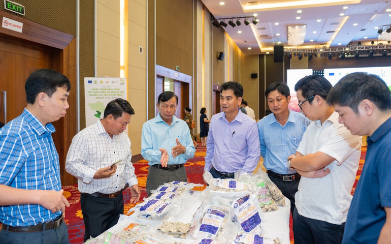 Giới thiệu các sản phẩm nghêu xuất khẩu.