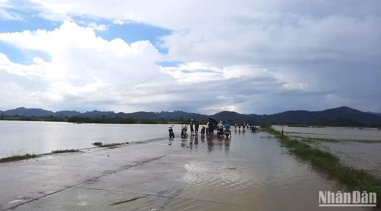 Một số tuyến đường giao thông nông thôn ở huyện Lắk bị ngập lụt. Một số tuyến đường giao thông nông thôn ở huyện Lắk bị ngập lụt.