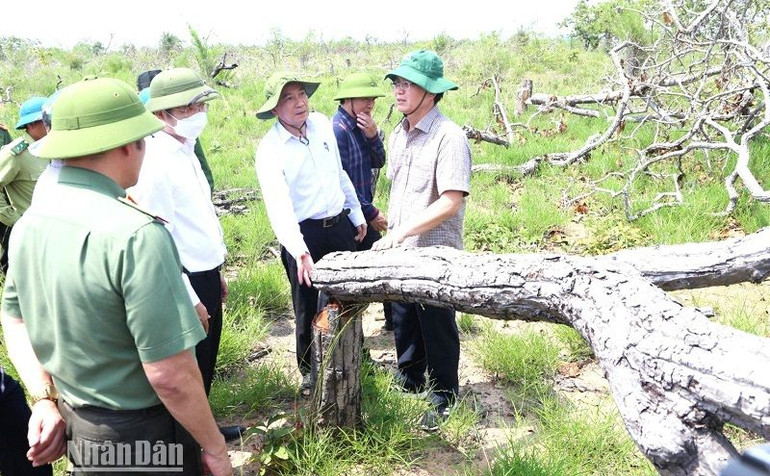 Ngay sau khi Nhân Dân Điện tử phản ảnh, Bí thư Tỉnh ủy Đắk Lắk Nguyễn Đình Trung và Chủ tịch Ủy ban nhân dân tỉnh Đắk Lắk Phạm Ngọc Nghị cùng lãnh đạo các sở, ban, ngành liên quan của tỉnh đã vào kiểm tra hiện trường chỉ đạo các ngành chức năng vào cuộc điều tra, xử lý vụ việc. Ngay sau khi Nhân Dân Điện tử phản ảnh, Bí thư Tỉnh ủy Đắk Lắk Nguyễn Đình Trung và Chủ tịch Ủy ban nhân dân tỉnh Đắk Lắk Phạm Ngọc Nghị cùng lãnh đạo các sở, ban, ngành liên quan của tỉnh đã vào kiểm tra hiện trường chỉ đạo các ngành chức năng vào cuộc điều tra, xử lý vụ việc.