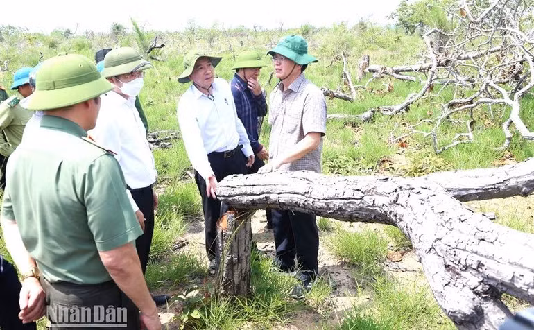 Ngay sau khi Nhân Dân Điện tử phản ảnh, Bí thư Tỉnh ủy Đắk Lắk Nguyễn Đình Trung và Chủ tịch Ủy ban nhân dân tỉnh Đắk Lắk Phạm Ngọc Nghị cùng lãnh đạo các sở, ban, ngành liên quan của tỉnh đã vào kiểm tra hiện trường chỉ đạo các ngành chức năng vào cuộc điều tra, xử lý vụ việc.