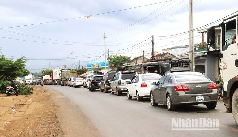 Do hoạt động thu mua sầu riêng diễn ra tấp nập nên hằng ngày trên tuyến quốc lộ 26 đoạn qua huyện Krông Pắc thường xảy ra ùn tắc giao thông.