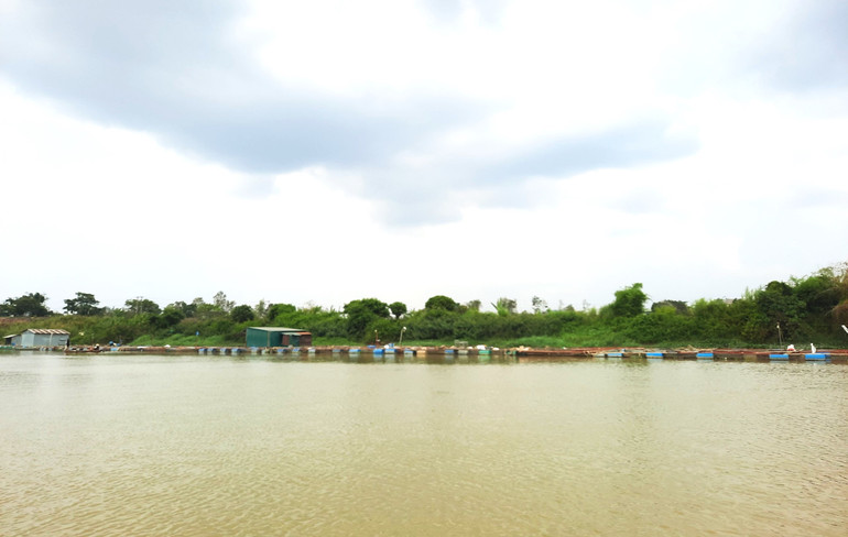 Các lồng, bè nuôi cá trên sông Sêrêpốk.