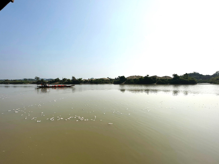 Cá chết trôi ra sông Sêrêpốk.