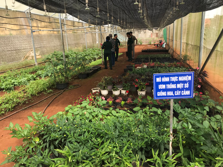 Một góc vườn thực nghiệm của các học viên sĩ quan nước bạn Lào tại Trường 21. Một góc vườn thực nghiệm của các học viên sĩ quan nước bạn Lào tại Trường 21.