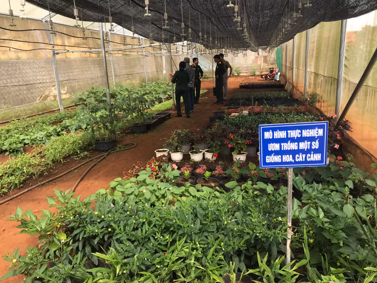 Một góc vườn thực nghiệm của các học viên sĩ quan nước bạn Lào tại Trường 21.