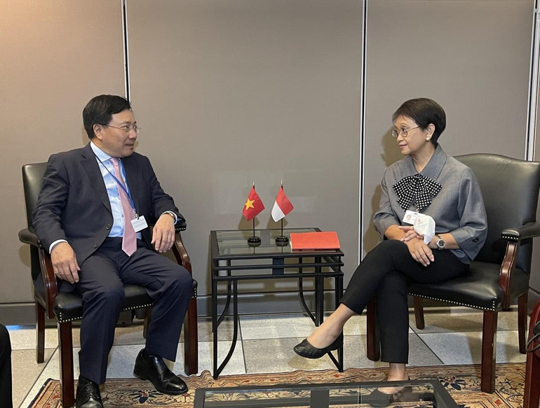 Phó Thủ tướng Thường trực Phạm Bình Minh và Bộ trưởng Ngoại giao Indonesia Retno Marsudi. (Ảnh: VOV) Phó Thủ tướng Thường trực Phạm Bình Minh và Bộ trưởng Ngoại giao Indonesia Retno Marsudi. (Ảnh: VOV)