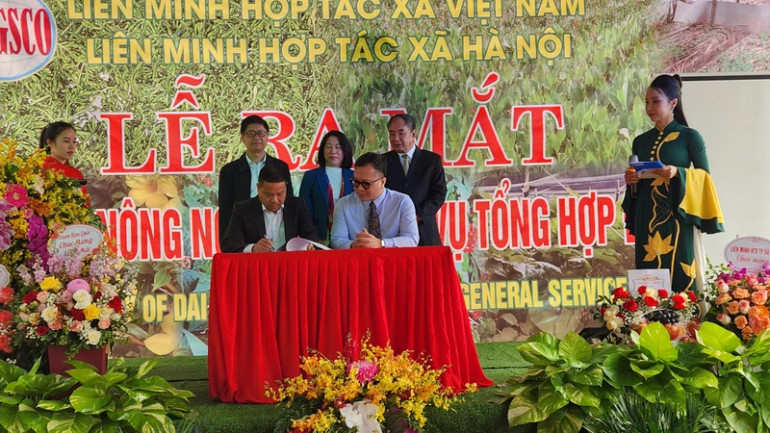 Lễ ra mắt Hợp tác xã nông nghiệp và dịch vụ Đại Nam cuối năm 2023 với sự tham gia của các chuyên gia nông nghiệp và dược liệu đến từ Hàn Quốc. Lễ ra mắt Hợp tác xã nông nghiệp và dịch vụ Đại Nam cuối năm 2023 với sự tham gia của các chuyên gia nông nghiệp và dược liệu đến từ Hàn Quốc.