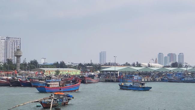 Mỗi ngày nhiều tàu cá ra vào cảng cá và âu thuyền Thọ Quang.