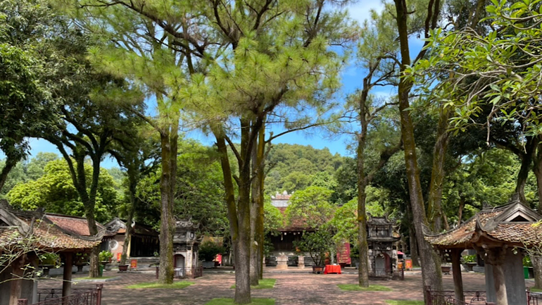 Côn Sơn-nơi hội tụ tinh hoa đất trời, anh hào tỏa sáng ảnh 6