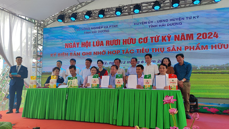 Đại diện các đơn vị ký hợp đồng liên kết sản xuất gắn bao tiêu sản phẩm. Đại diện các đơn vị ký hợp đồng liên kết sản xuất gắn bao tiêu sản phẩm.