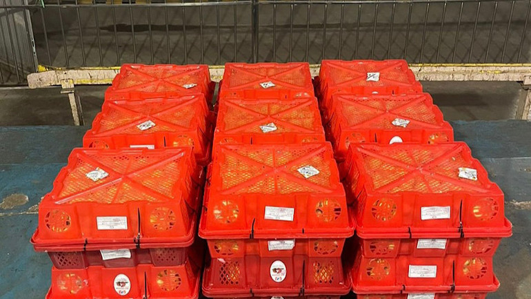 Lô vải thiều được đóng gói xuất khẩu đi Nhật. Lô vải thiều được đóng gói xuất khẩu đi Nhật.