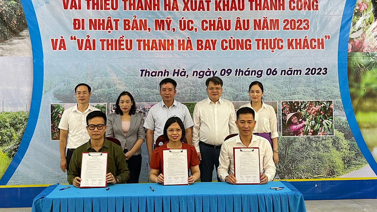 Đại diện các đơn vị ký cam kết đưa vải thiều lên các suất ăn để "bay" cùng thực khách.