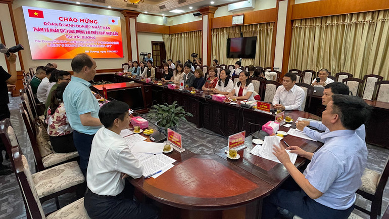 Lãnh đạo Ủy ban nhân dân tỉnh Hải Dương làm việc với Đoàn doanh nhân Nhật Bản.