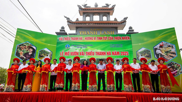 Cắt băng mở vườn tại sự kiện “Hải Dương mùa vải chín”.