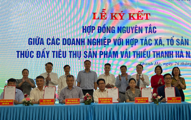 Các doanh nghiệp, siêu thị, hợp tác xã, cơ sở sản xuất ký kết văn bản hợp tác sản xuất, tiêu thụ vải thiều.