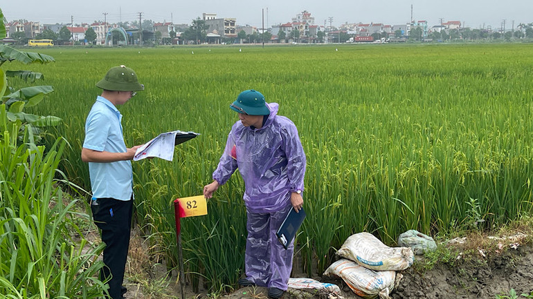 Cán bộ các tổ công tác thực hiện nhiệm vụ kiểm đếm trong buổi cưỡng chế thu hồi đất.