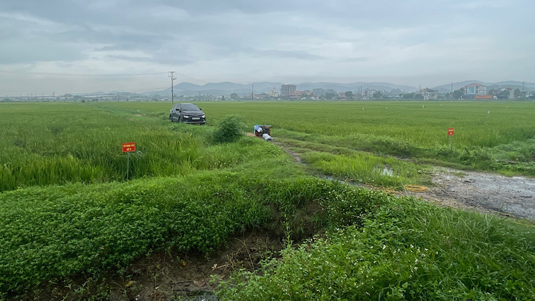 Khu đất nông nghiệp ở phường Chí Minh, nơi thực hiện dự án Khu đô thị sinh thái Chí Linh.