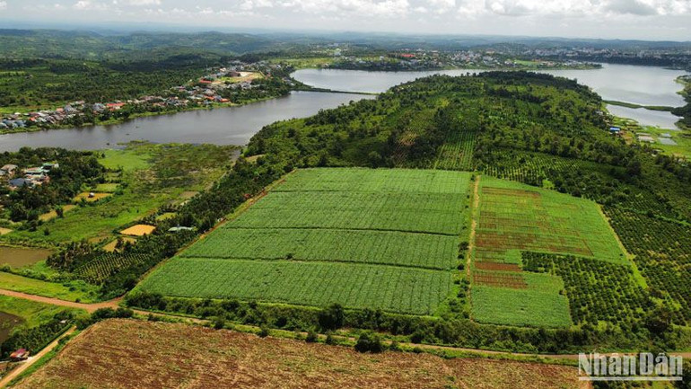 Luật Đất đai năm 2024 có nhiều điểm mới và quy định mới so với Luật Đất đai năm 2013. Do đó, Sở Tài nguyên và Môi trường khuyến nghị các tổ chức, cá nhân cần lưu ý để tránh thiệt thòi do không tiếp cận đầy đủ và hiểu biết về các quy định của pháp luật.