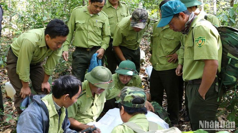 Khu Bảo tồn thiên nhiên Nam Nung chủ động phối hợp các cấp chính quyền địa phương, Hạt Kiểm lâm sở tại, các đơn vị chủ rừng giáp ranh tuần tra, truy quét bảo vệ rừng tự nhiên tại các khu vực điểm nóng.