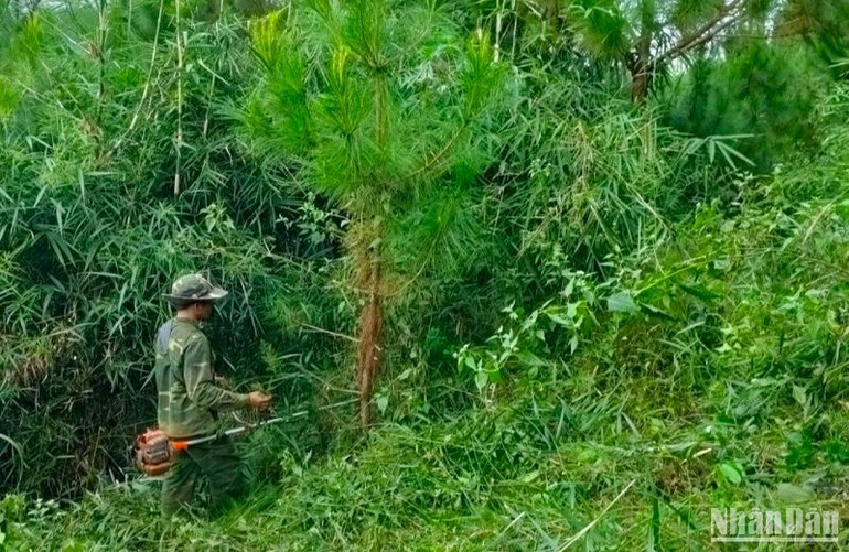 Các đơn vị sử dụng nguồn tiền dịch vụ môi trường rừng đã ký kết trồng rừng, chăm sóc rừng với hộ dân, cộng đồng dân cư nhằm cải thiện sinh kế cho người dân khu vực vùng đệm. Các đơn vị sử dụng tiền dịch vụ môi trường rừng tăng cường công tác tuyên truyền đến người dân về ý nghĩa, lợi ích của dịch vụ môi trường rừng.