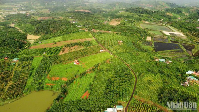 Ngành Tài nguyên và Môi trường Đắk Nông đã chủ động tham mưu cho Ủy ban nhân dân tỉnh Đắk Nông xây dựng 15 văn bản quy phạm pháp luật quy định chi tiết Luật Đất đai năm 2024 để lấy ý kiến các sở, ban, ngành trước khi trình Ủy ban nhân dân tỉnh ban hành để thay thế các quy định cũ đã hết hiệu lực.