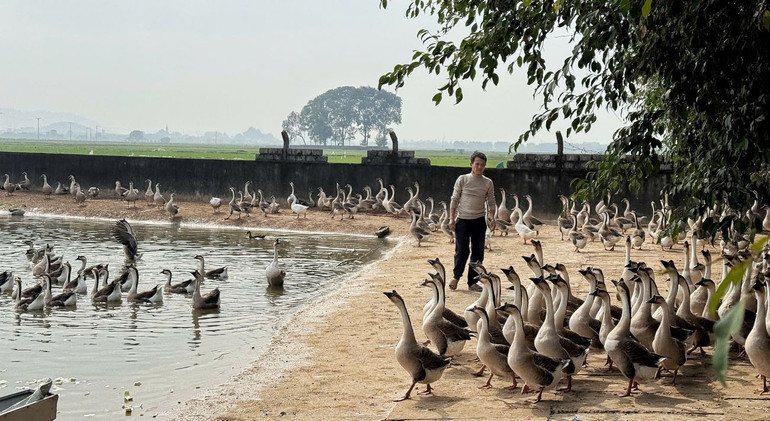 Trang trại của anh Bùi Văn Thành, ở xóm 3, xã Viên Thành, nhờ có nguồn vốn của Ngân hàng Chính sách mà anh có cơ hội để lập nghiệp lần hai.