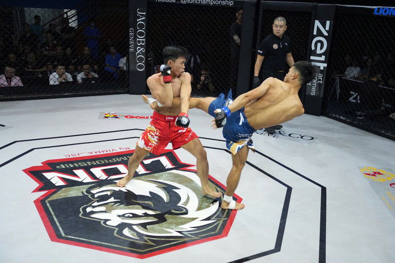 MMA đang phát triển mạnh mẽ tại Việt Nam. MMA đang phát triển mạnh mẽ tại Việt Nam.