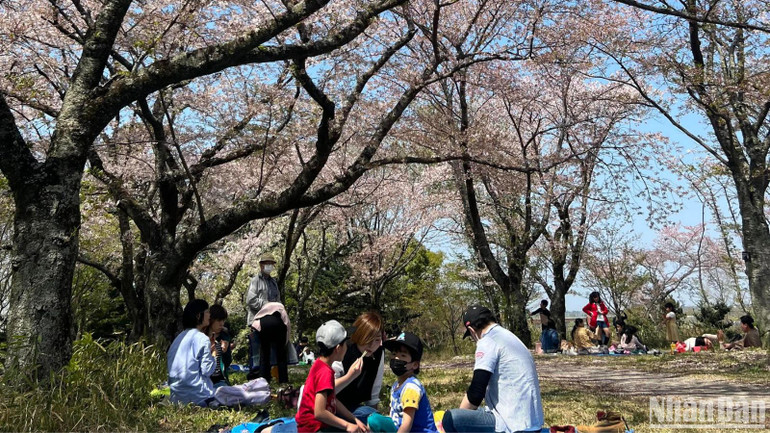 Khách du lịch Việt Nam đặc biệt ưu tiên lựa chọn Nhật Bản cho chuyến du lịch nước ngoài của mình trong năm 2024. (Ảnh: HOA PHẠM)