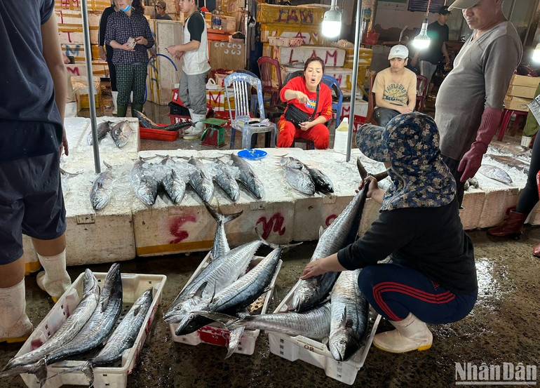 Các tiểu thương cho biết, những ngày qua lượng tàu cá của ngư dân cập bến nhiều nên lượng hải sản tại chợ tăng, nhưng giá cả tương đối ổn định, không có tăng giá đột biến. (Ảnh ANH ĐÀO)