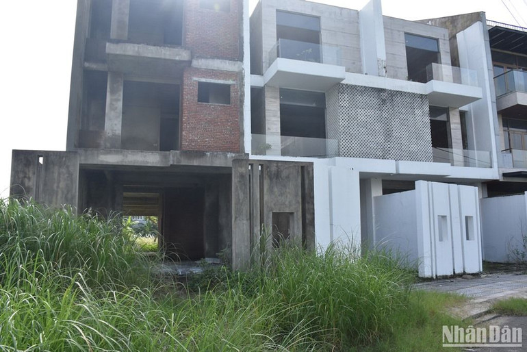 Cỏ dại mọc đầy chung quanh khu vực các dãy shophouse. (Ảnh: ANH ĐÀO)