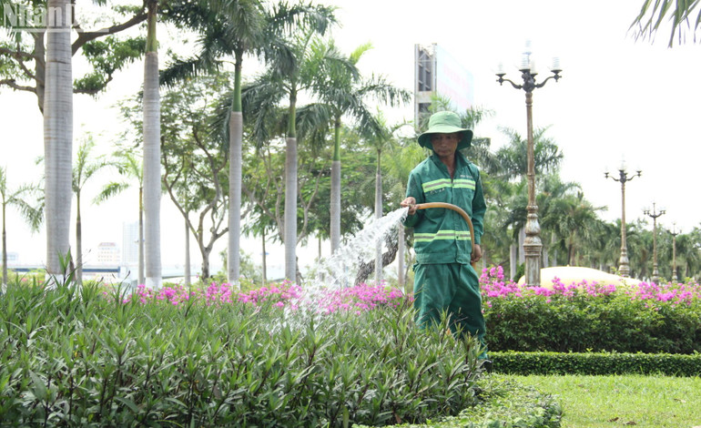 Anh Huỳnh Văn Long đang chăm sóc khu vực bồn hoa trên đường Trần Hưng Đạo.