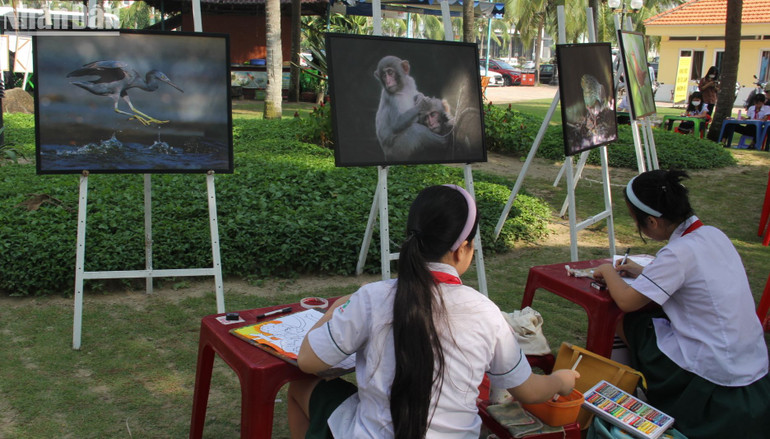 Mỗi học sỹ nhí sẽ gửi một thông điệp ý nghĩa bảo vệ sắc xanh trên Bán đảo Sơn Trà