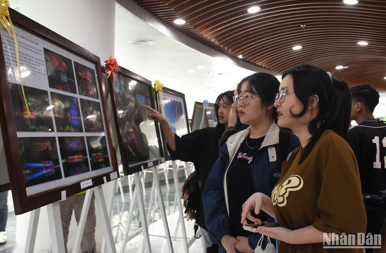 Triển lãm mở cửa tự do tại Công viên APEC Đà Nẵng đến hết ngày 2/5. Ảnh: ANH ĐÀO