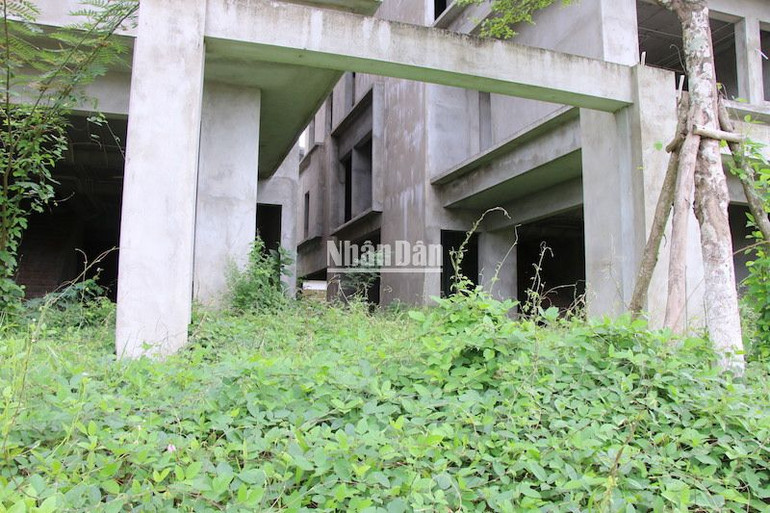 Hiện trạng dự án khi dừng xây dựng, cây cỏ mọc đầy gây ô nhiễm môi trường. (Ảnh: ANH ĐÀO) Hiện trạng dự án khi dừng xây dựng, cây cỏ mọc đầy gây ô nhiễm môi trường. (Ảnh: ANH ĐÀO)
