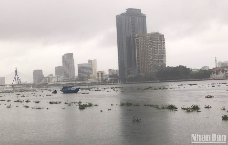 Mực nước sông Hàn dâng cao.