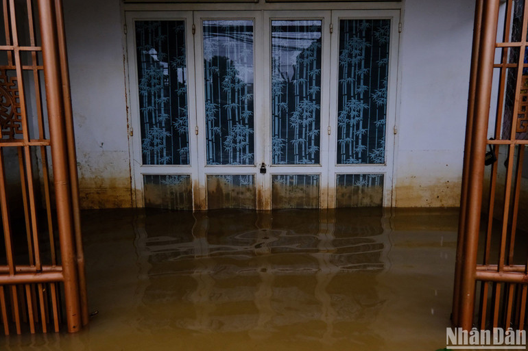 Người dân khu vực này đang gặp rất nhiều khó khăn khi mưa lũ tiếp tục diễn biến phức tạp tại Đà Nẵng trong vài ngày tới. Người dân khu vực này đang gặp rất nhiều khó khăn khi mưa lũ tiếp tục diễn biến phức tạp tại Đà Nẵng trong vài ngày tới.