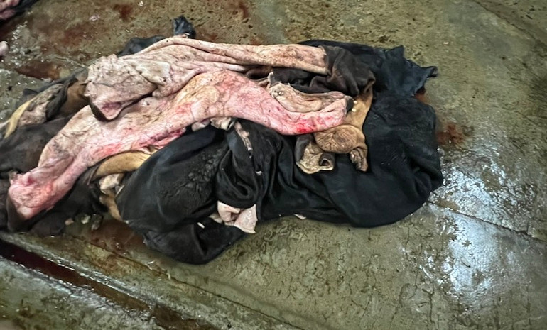 Chủ cơ sở này cam kết tự nguyện tiêu hủy toàn bộ số sản phẩm động vật này. Ảnh: Công an cung cấp Chủ cơ sở này cam kết tự nguyện tiêu hủy toàn bộ số sản phẩm động vật này. Ảnh: Công an cung cấp